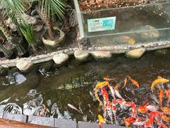 -上海大自然野生昆虫馆(东方明珠·爬宠昆虫探索中心)