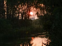 -昆山城市生态森林公园