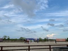 -松声马术俱乐部