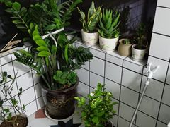 -秦美花卉(天朗·莱茵小城2期店)