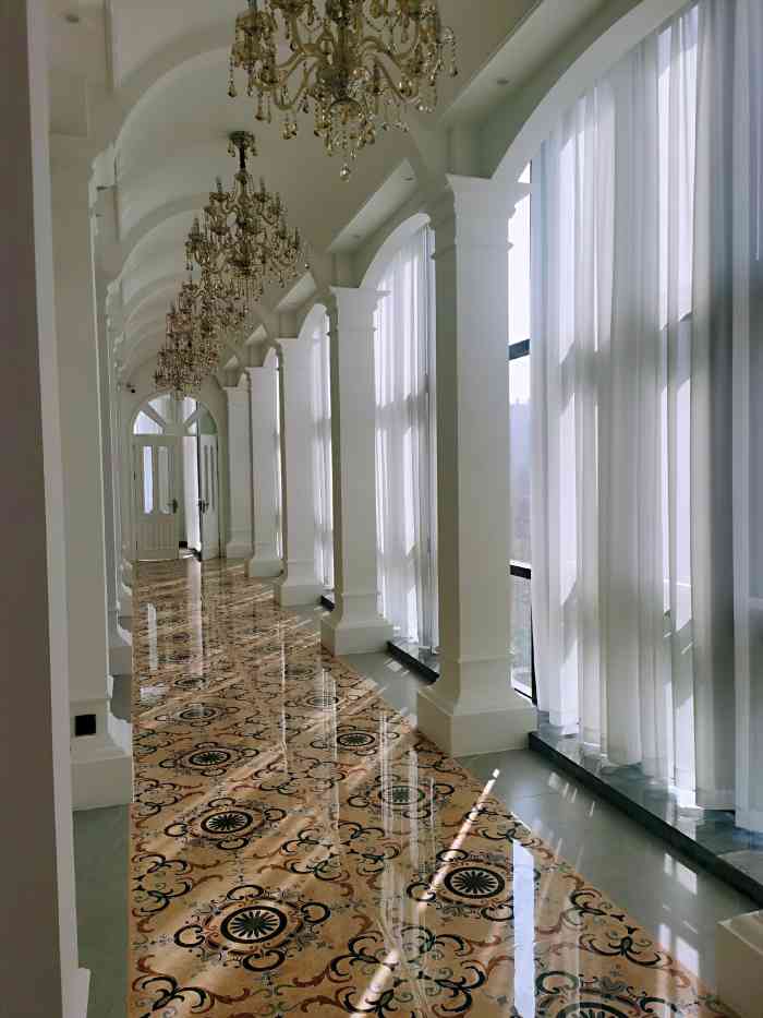 royal star 思达美学-"强推【bowen】!认为自己美的要选bo.