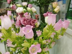 -Flower in(密渡桥店)