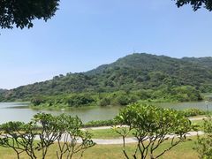 -风云岭森林公园