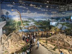 -自贡恐龙博物馆