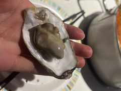 -吉布鲁牛排海鲜自助(硕果时代店)