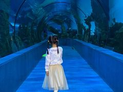 -乐从天佑城海洋馆