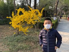 -玲珑塔公园