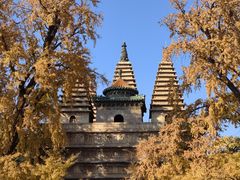 -北京石刻艺术博物馆(五塔寺)