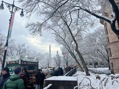 -美国自然历史博物馆