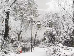 -杭州半山国家森林公园