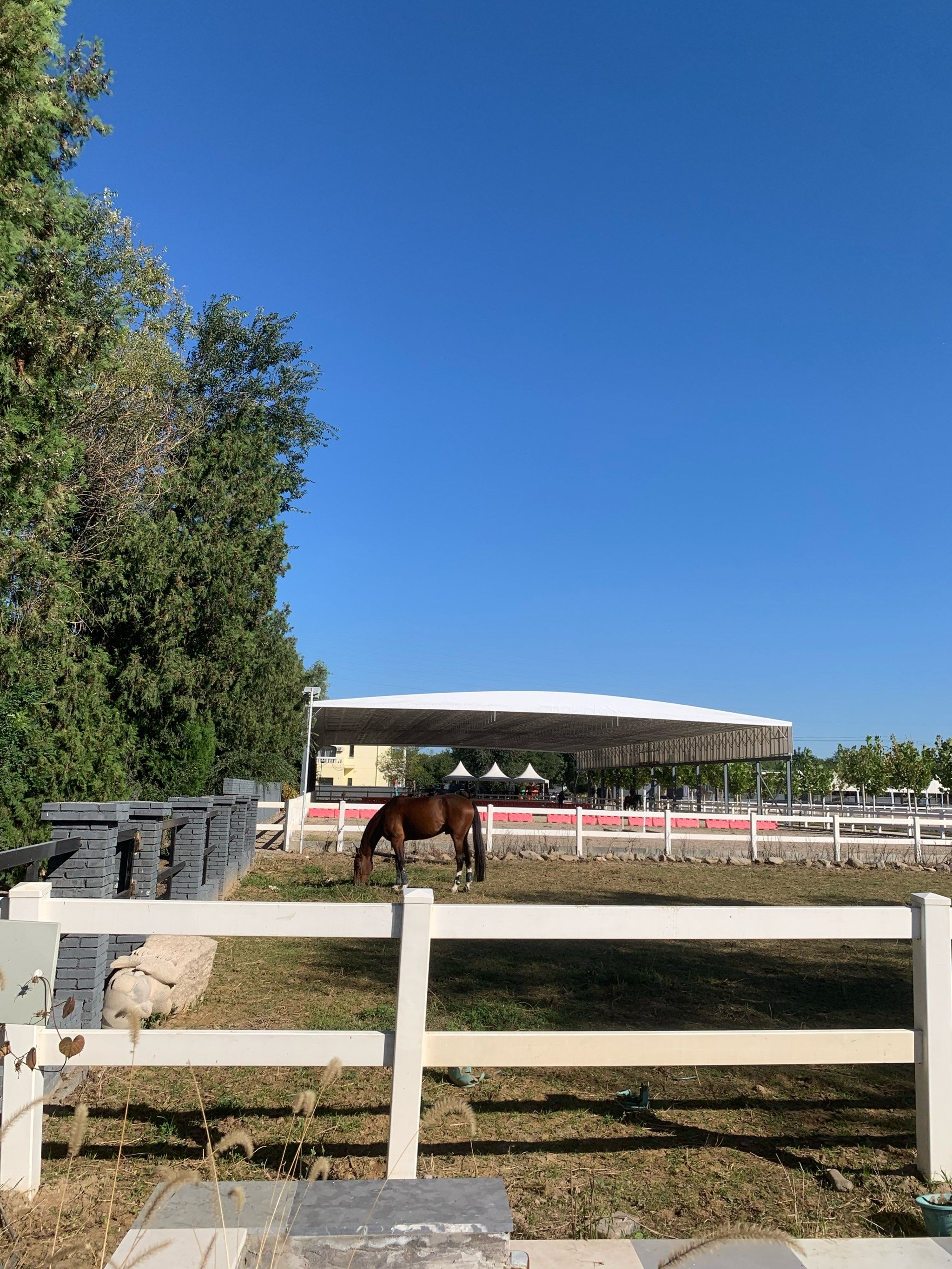 0元玩转这座城
今天来顺义这边的马场来骑马
主要以体验为主
