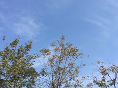 -漫渡庄绿岛花园•隐世庭园菜(滨湖店)