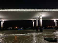 -演武大桥观景平台