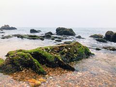 -棒棰岛宾馆景区