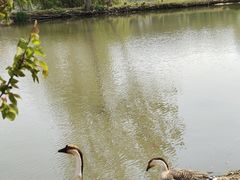 -西安浐灞国家湿地公园