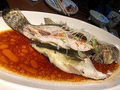 -燕郊烧鸽子(广安路店)