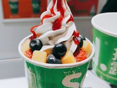-Salud撒露欧洲冻酸奶(北苑上品店)