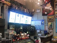 -猫咪博物馆(顶澳仔猫街店)