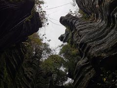 -梭布垭石林景区