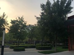 -大望京公园