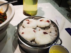 -石家庄万象城
