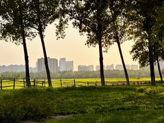 -汉长安城未央宫国家考古遗址公园