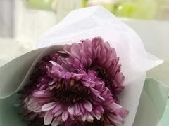 -小苍兰风铃草蛋糕甜品(沈阳店)