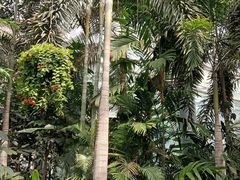 -郑州植物园