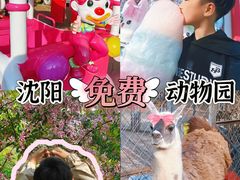 -长白岛森林公园