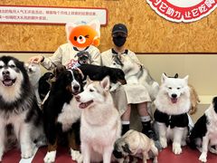 -和它·交个朋友·狗咖猫咖(爱琴海店)