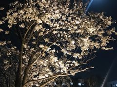 -北京化工大学(东校区)