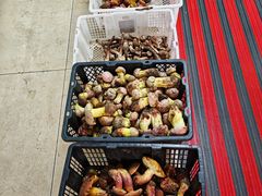 -双喜农庄·菌香园(安居家园店)