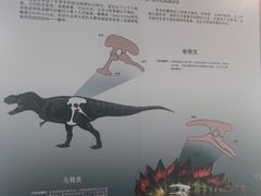 -安徽省地质博物馆