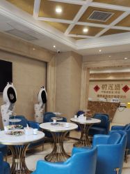 -碧莲盛·不剃发植发