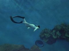 -苏州海洋馆