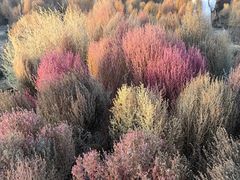 -天津东丽湖风景区