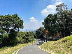 -黄埔油麻山森林公园
