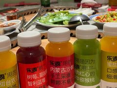 -二胖家铁锅炖大鹅(双井店)