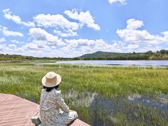 -御道口草原森林风景区