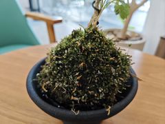 -Northand Coffee(来福士店)