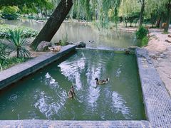 -洛阳市隋唐城遗址植物园
