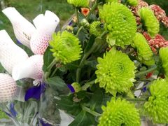 -三圣花乡旅游区