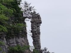 -恩施大峡谷