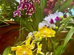 -国家植物园南园