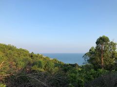 -广东惠东海龟国家级自然保护区