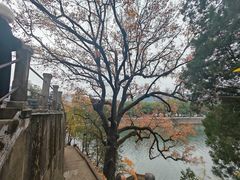 -蒋氏故居