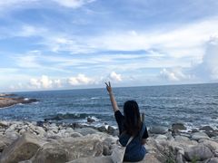 -广东惠东海龟国家级自然保护区