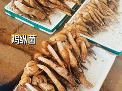 -云南木水花野生菌交易中心