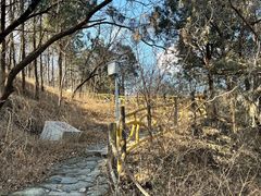 -阳台山自然风景区