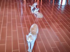 -湖南省立第一师范学校旧址